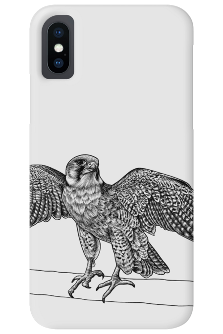 Lanner falcon - bird of prey - ink illustration by LorenDowding