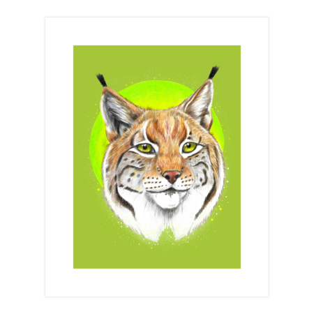 Lynx, wild cat by owlsonata