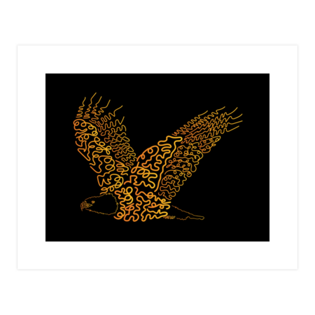 Eagle fly on the dark by udabuyung