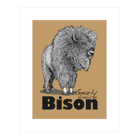 Gnarly American BISON