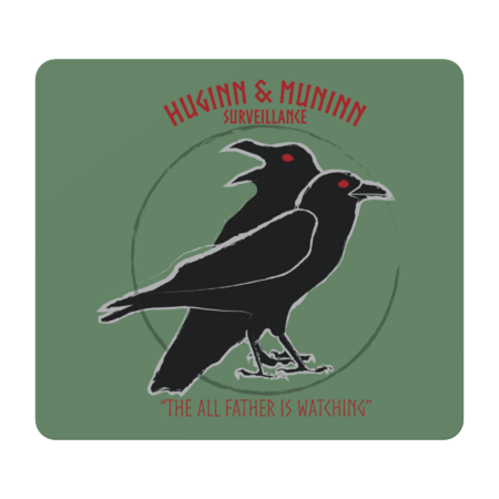 Huginn &amp; Muninn Surveillance