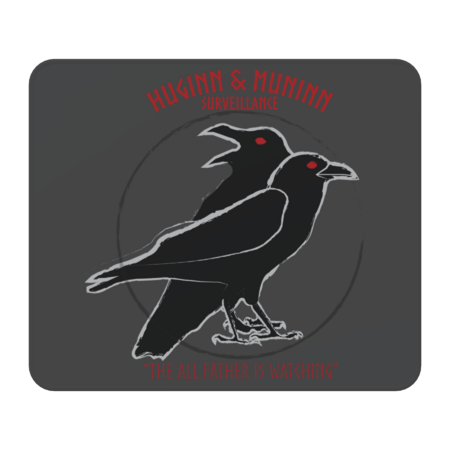 Huginn &amp; Muninn Surveillance