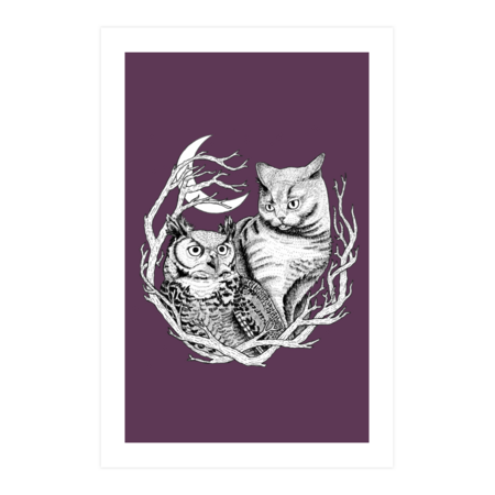 Cat and Owl by KayIllustrations