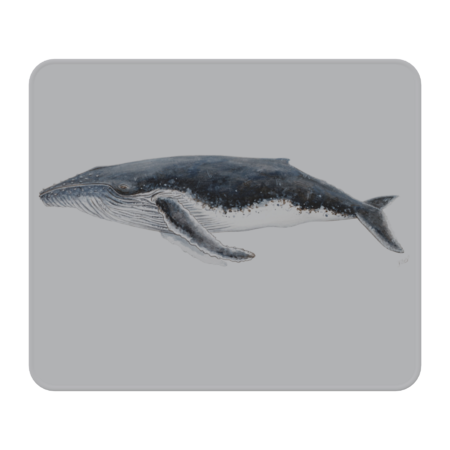 Humpback whale by chloeyzoard