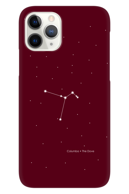 Columba Constellation by PrintStopStudio