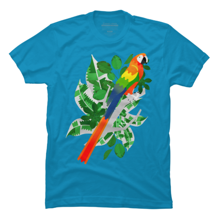 Rainbow macaw