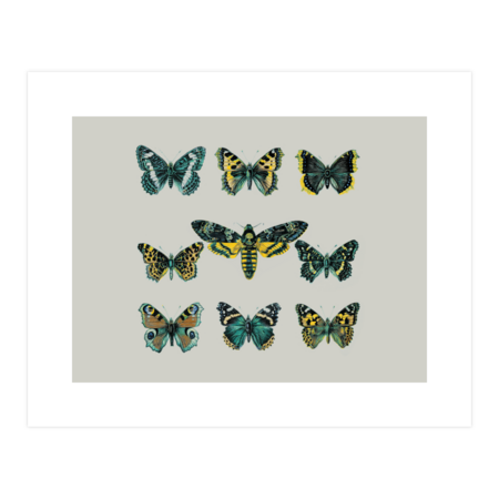 Butterflies and Moth of Europe by elcorette