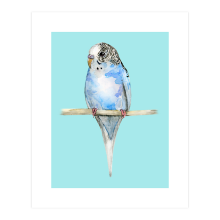 Blue spotted budgerigar watercolor by Bwiselizzy