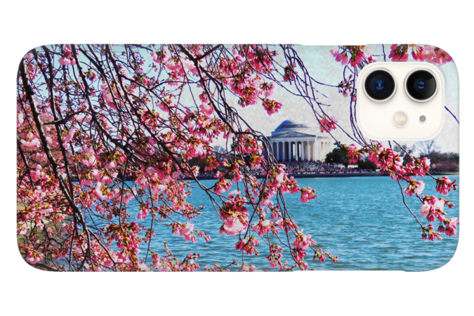 Cherry blossom in Washington DC USA pink flowers by BoogieCreates
