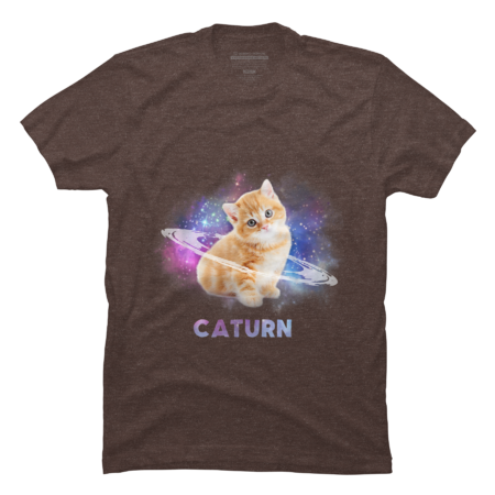 Cat in space caturn