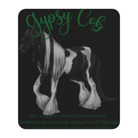 gypsy cop definition by Giftwitch
