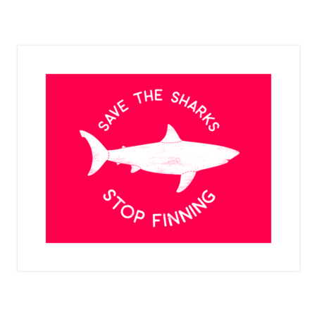 Stop Shark Finning by Mitxeldotcom