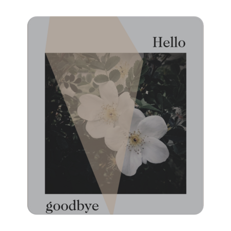 Hello - goodbye  - flower - photography collage- by sunpurple