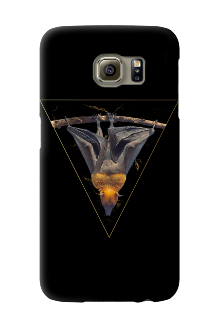 Bat in Golden Triangle