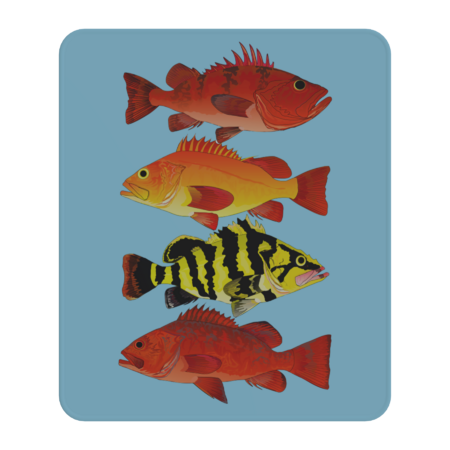 4 rockcod rockfish by CombatFish