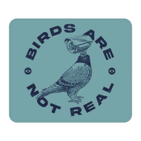Birds Are Not Real - Pigeon