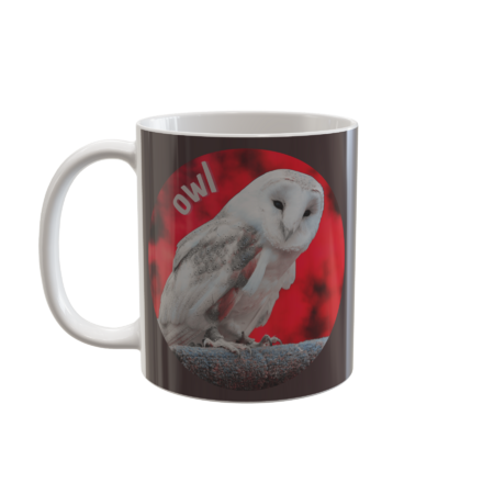 White owl by tiendavane