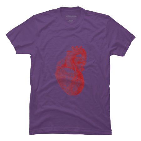 Anatomical heart Front and back cardiovascular cardiac funny