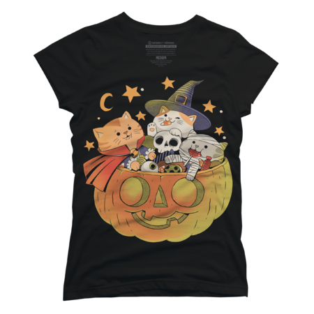 Pumpkin and cat by ppmid