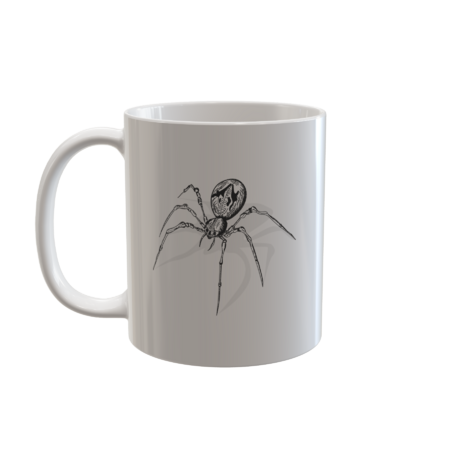 spider sketch by Mammoths