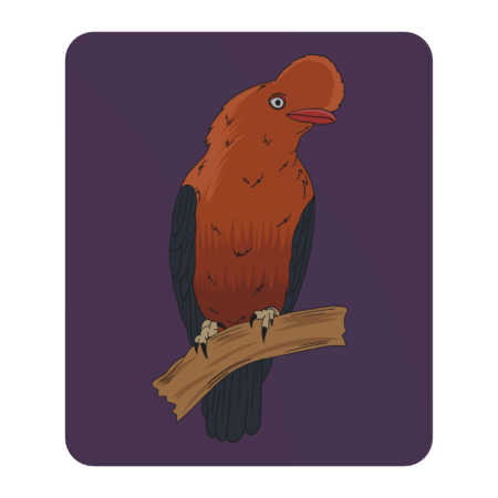 Andean Cock of The Rock bird cartoon illustration by cartoonoffun