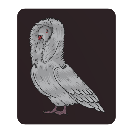 Jacobin pigeon bird cartoon illustration by cartoonoffun
