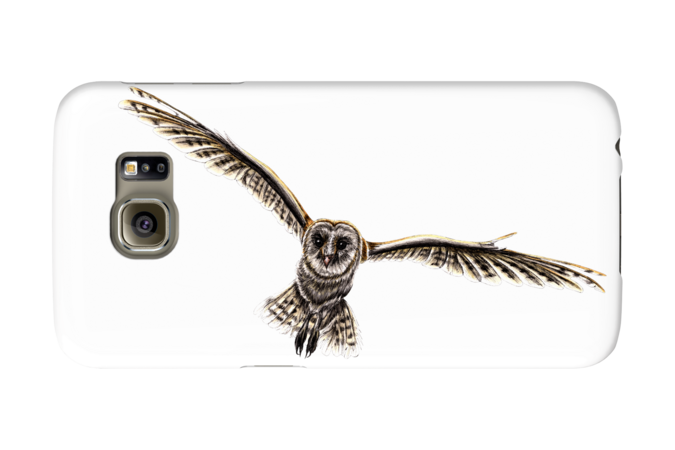 Flying Barn Owl by LorenDowding