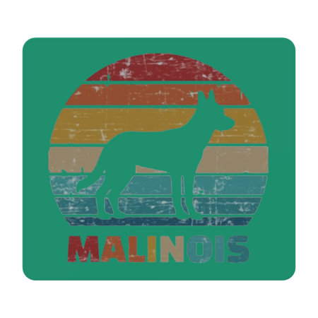 Belgian Malinois
