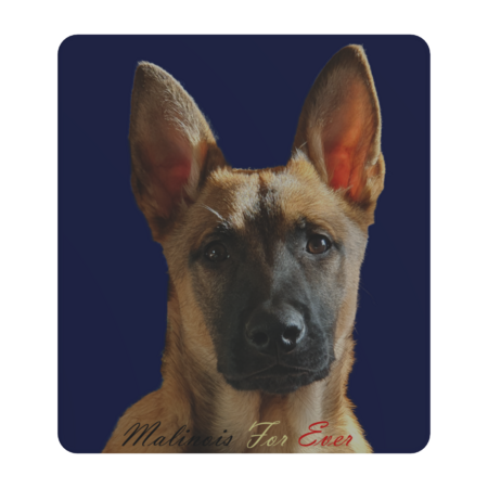 Malinois For Ever