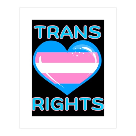trans rights by romesdesigns