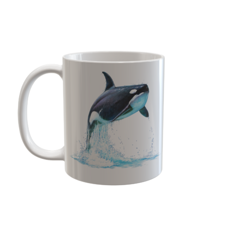Orca Whale by Salmoneggs