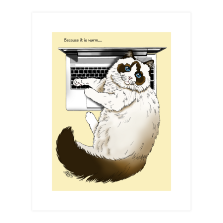Warm Laptop Cat by tigressdragon