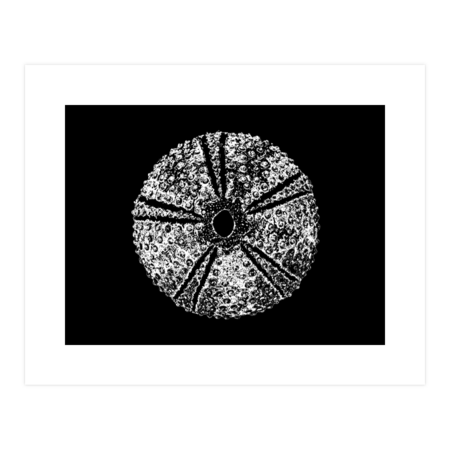 Minimal urchin by gegogneto