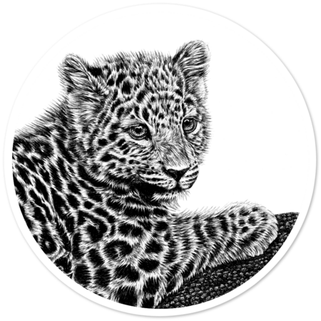 Amur leopard cub circle drawing