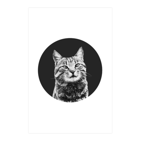 Black and white cat circular portrait