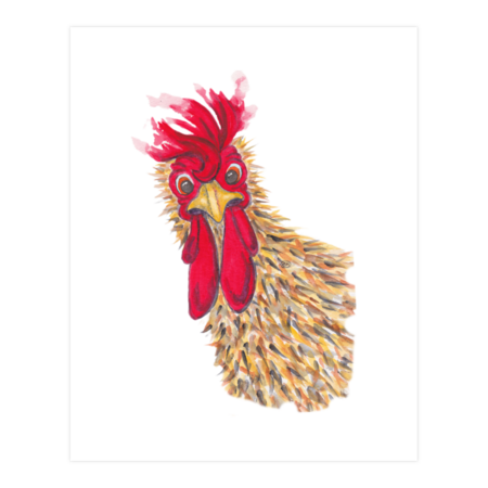 Curious Rooster, Chicken by Marjansart