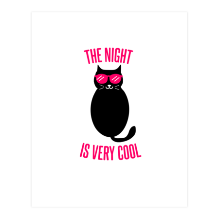 The night is very cool  funny cat