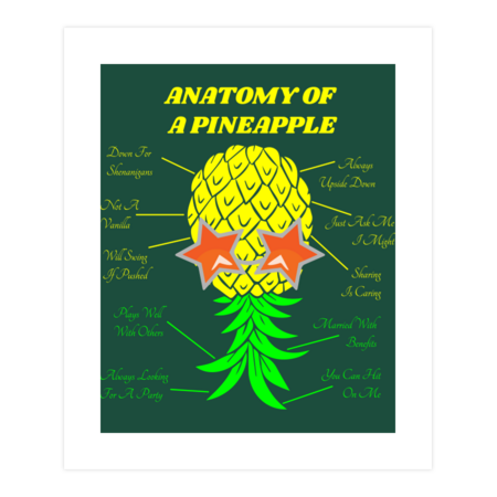 Anatomy of a pineapple by Johnroy17