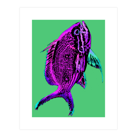 Fuchsia Solo Fish by morganolk