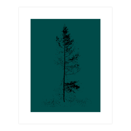 aspen tree solitude silhouette by pholange