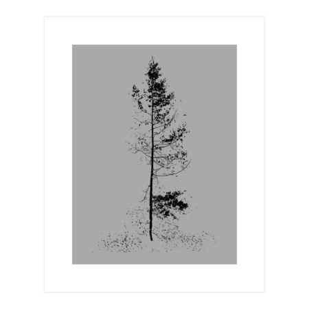 aspen tree solitude silhouette by pholange