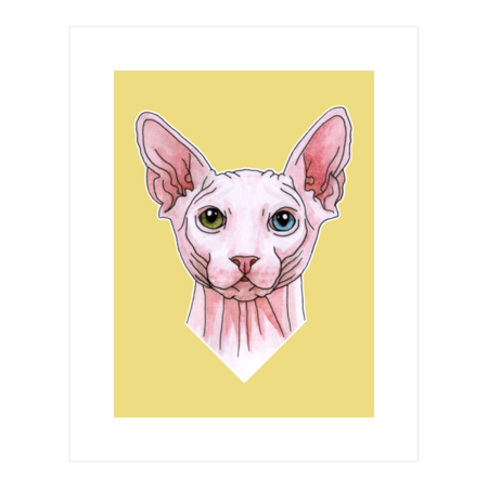 Sphynx cat portrait by Savousepate
