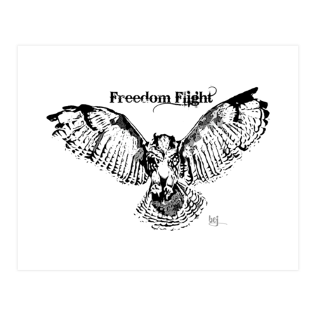 Freedom Flight by Evilcat65