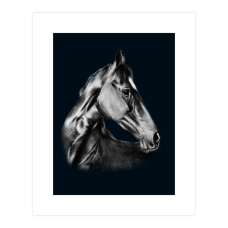 Black Horse by Animalpaintings