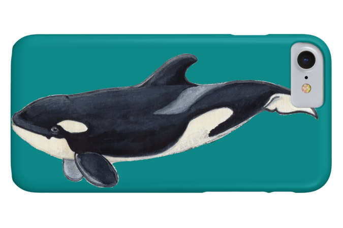 Baby orca (Orcinus orca) by chloeyzoard