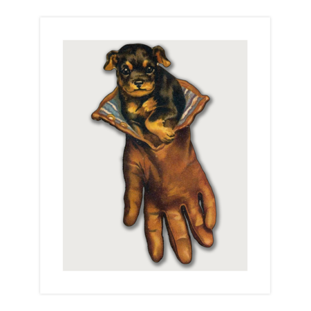 Dog In Glove by GOSStudio