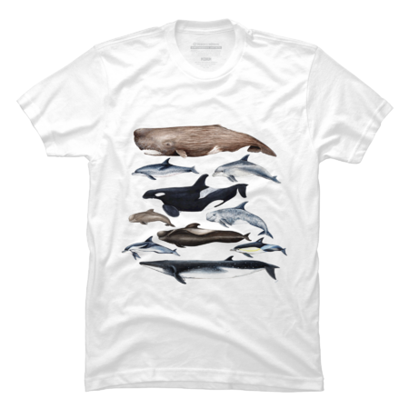 Whales, dolphins, sperm whale &amp; orca by chloeyzoard
