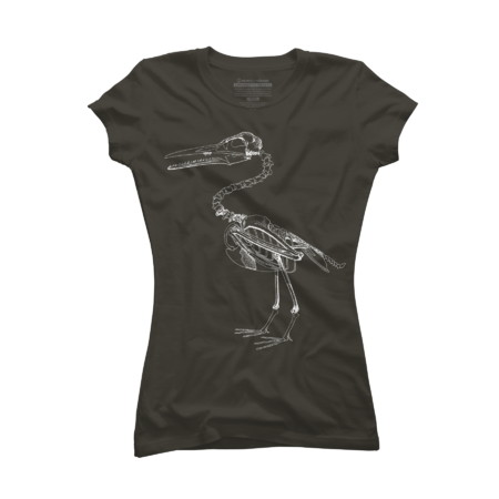 Hesperornis Skeleton, Ancient Flightless North American Bird by encycloart