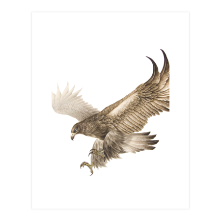 Mongolia Eagle by WhitePearl