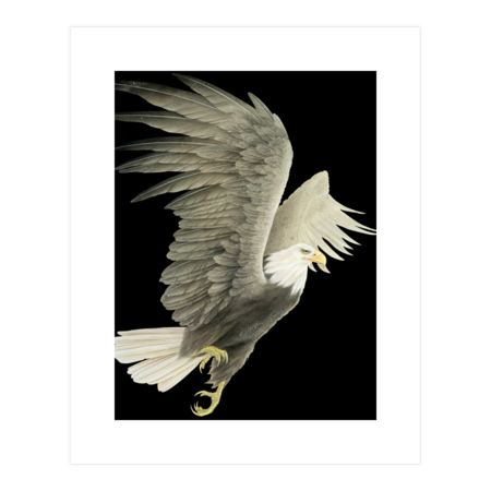 Desert Eagle by WhitePearl
